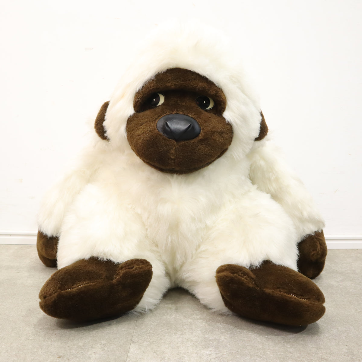 IMG_9129_1200x1200.jpg?v=