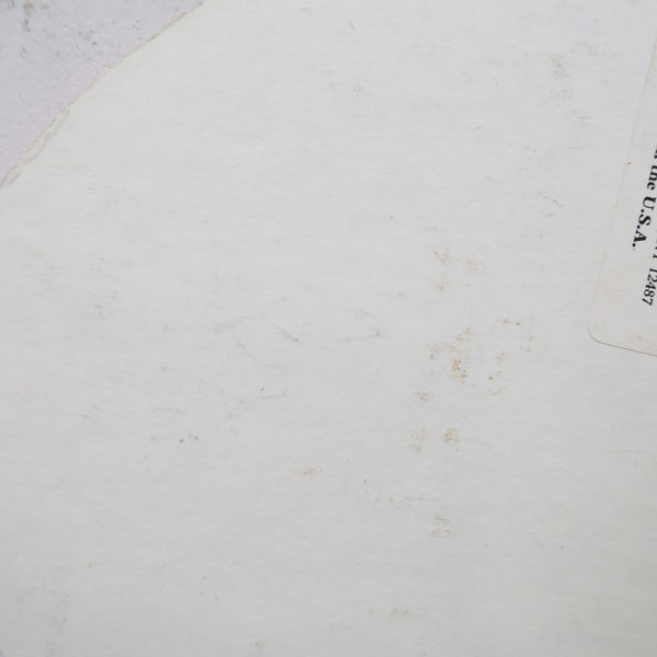 アンハイザー・ブッシュ Pale Lager ヴィンテージ 看板プリント