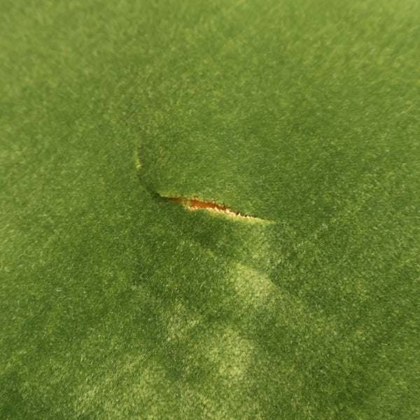 オールドカリモクのアームチェア No.2