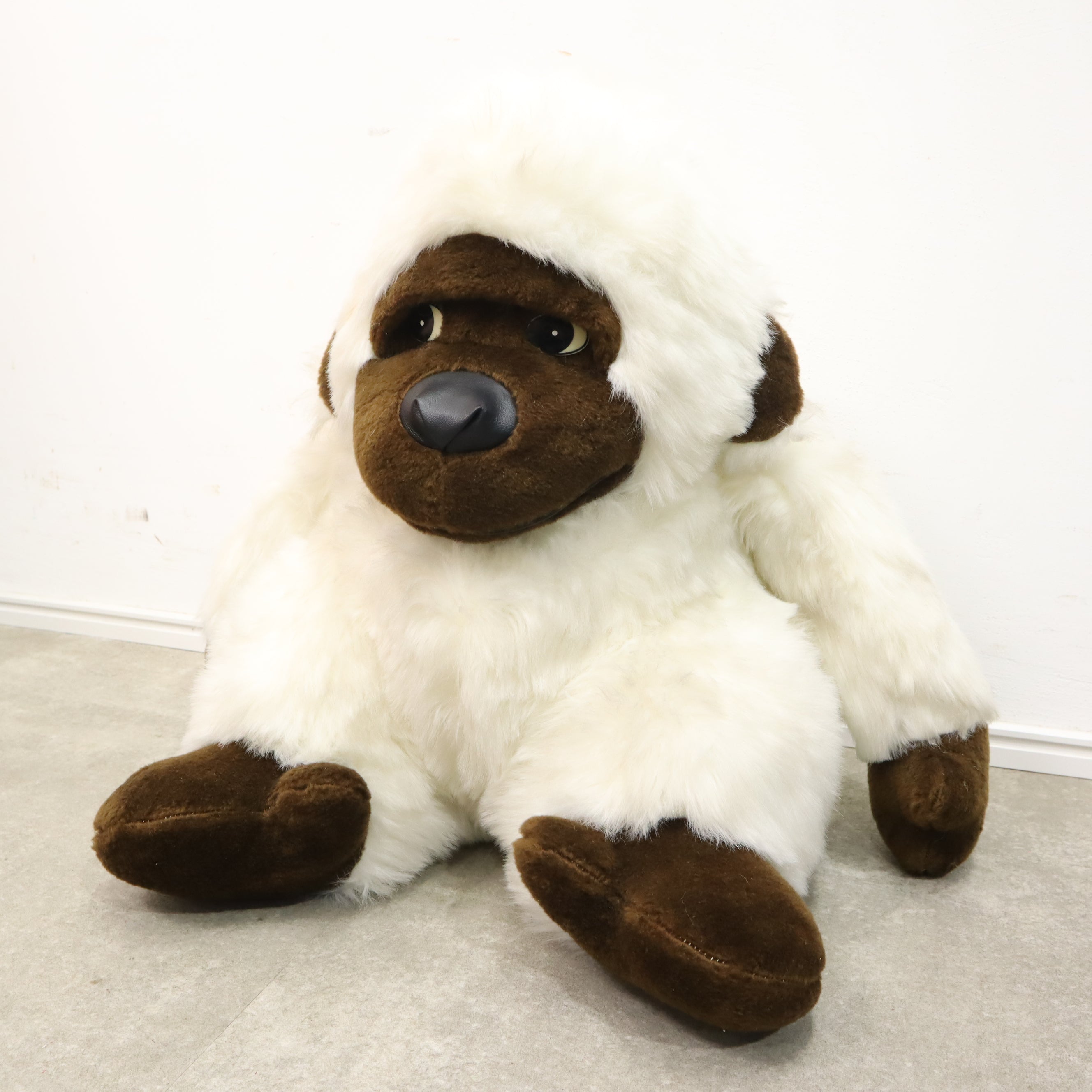 IMG_9127.jpg?v=1738733093&